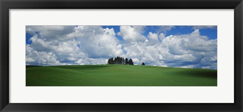 Framed Trees on the top of a hill, Palouse, Whitman County, Washington State, USA Print