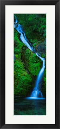 Framed Waterfall in a forest, Sullivan Falls, Opal Creek Wilderness, Oregon, USA Print