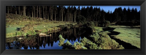 Framed River flowing through a forest, East Dart River, Dartmoor, Devon, England Print