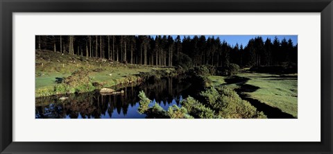 Framed River flowing through a forest, East Dart River, Dartmoor, Devon, England Print