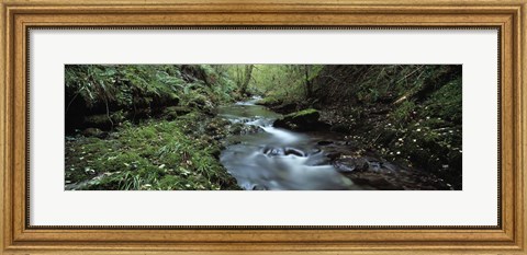 Framed River flowing through a forest, River Lyd, Lydford Gorge, Dartmoor, Devon, England Print