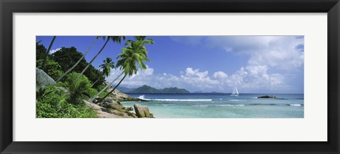 Framed Palm trees on the beach, Anse Severe, La Digue Island, Praslin Island, Seychelles Print