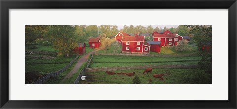 Framed Traditional red farm houses and barns at village, Stensjoby, Smaland, Sweden Print