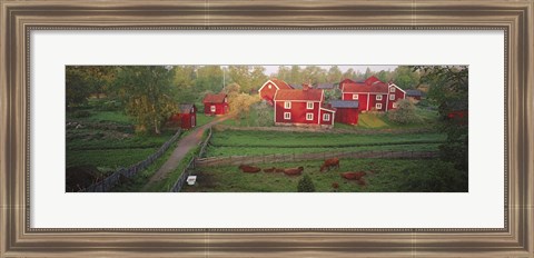 Framed Traditional red farm houses and barns at village, Stensjoby, Smaland, Sweden Print