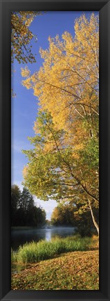 Framed River flowing through a forest, Dal River, Sweden Print