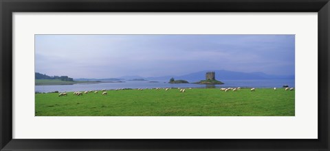 Framed Castle on an island, Glencoe, Loch Linnh, Stalker Castle, Scotland Print