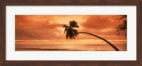 Framed Silhouette of an old palm tree on the beach at sunset, Aitutaki, Cook Islands Print