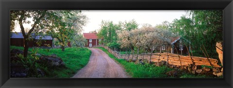 Framed Dirt road leading to farmhouses, Stensjoby, Smaland, Sweden Print