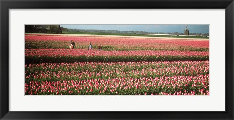 Framed Mother and daughters in field of red tulips, Alkmaar, Netherlands Print