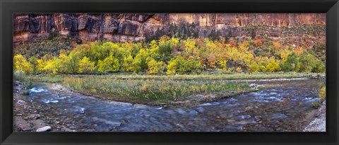 Framed Virgin River at Big Bend, Zion National Park, Springdale, Utah, USA Print