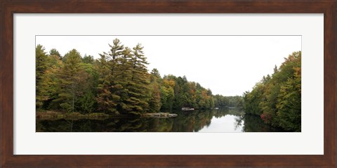 Framed Reflection of trees in the Musquash River, Muskoka, Ontario, Canada Print