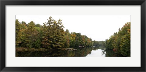 Framed Reflection of trees in the Musquash River, Muskoka, Ontario, Canada Print