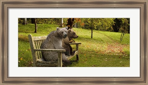 Framed Bears sitting on a bench Print