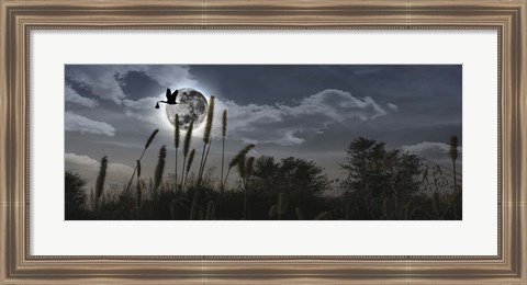 Framed Stork flying with baby in beak over moon Print