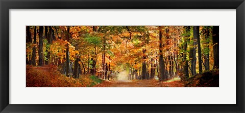 Framed Horse running across road in fall colors Print