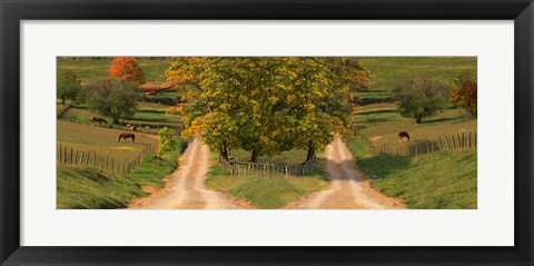 Framed Two dirt roads passing through farms in autumn Print