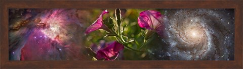 Framed Close-up of flowers and universe Print