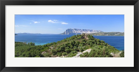 Framed Trees on a hill, Capo Coda Cavallo, Baronia, Sardinia, Italy Print