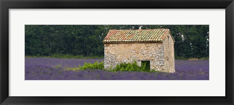 Framed Stone building in a lavender field, Provence-Alpes-Cote D&#39;Azur, France Print