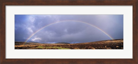 Framed Rainbow above Fernworthy Forest, Dartmoor, Devon, England Print