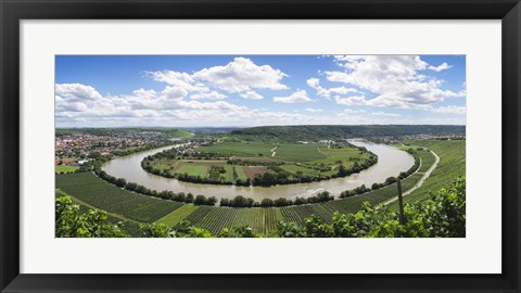 Framed High angle view of vineyards, Neckar River, Mundelsheim, Baden-Wurttemberg, Germany Print