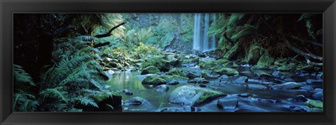 Framed Waterfall in a forest, Hopetown Falls, Great Ocean Road, Otway Ranges National Park, Victoria, Australia Print