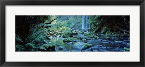 Framed Waterfall in a forest, Hopetown Falls, Great Ocean Road, Otway Ranges National Park, Victoria, Australia Print