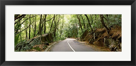 Framed Road passing through an indigenous forest, Mahe Island, Seychelles Print