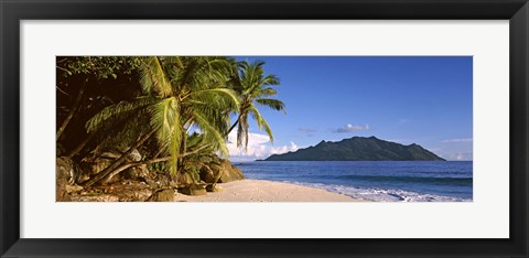 Framed Palm trees grow out over a small beach with Silhouette Island in the background, Seychelles Print