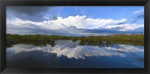 Framed Reflection of clouds on water, Everglades National Park, Florida, USA Print