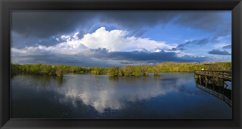 Framed Reflection of clouds in a lake, Everglades National Park, Florida, USA Print