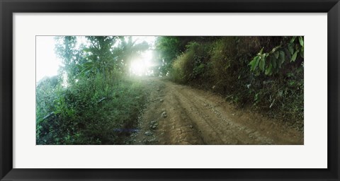 Framed Dirt road through a forest, Chiang Mai Province, Thailand Print