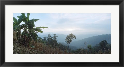 Framed Trees on a hill, Chiang Mai, Thailand Print