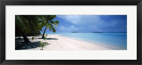 Framed Palm trees on the beach, Tapuaetai, Aitutaki, Cook Islands Print