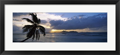 Framed Silhouette of coconut palm tree at sunset, from Anse Severe Beach, La Digue Island, Seychelles Print