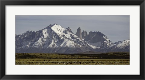 Framed Field with snowcapped mountains, Paine Massif, Torres del Paine National Park, Magallanes Region, Patagonia, Chile Print