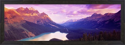 Framed Peyto Lake, Alberta, Canada Print