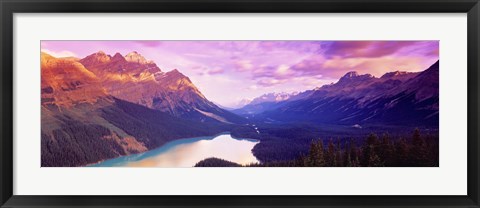 Framed Peyto Lake, Alberta, Canada Print