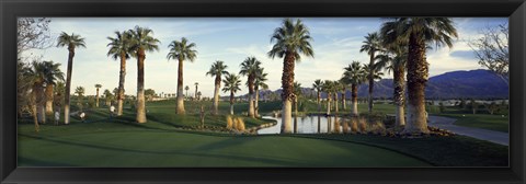 Framed Palm trees in a golf course, Desert Springs Golf Course, Palm Springs, Riverside County, California, USA Print