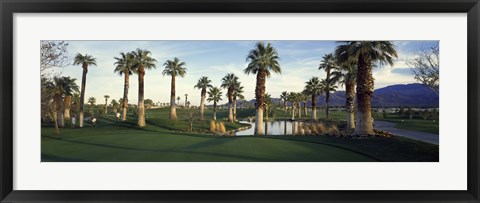 Framed Palm trees in a golf course, Desert Springs Golf Course, Palm Springs, Riverside County, California, USA Print