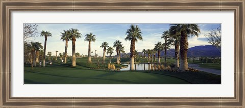 Framed Palm trees in a golf course, Desert Springs Golf Course, Palm Springs, Riverside County, California, USA Print