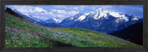 Framed Wildflowers Along Mountainside, Zillertaler, Austria Print