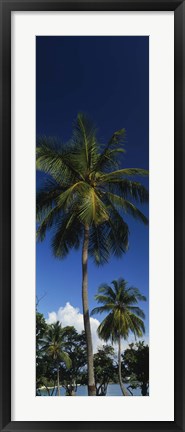 Framed USA, US Virgin Islands, Saint Thomas Print