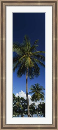 Framed USA, US Virgin Islands, Saint Thomas Print