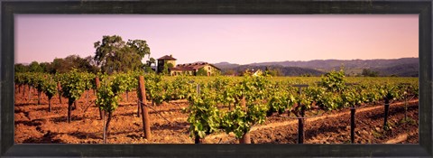 Framed Sattui Winery, Napa Valley, California, USA Print