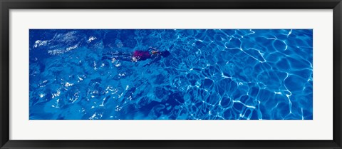 Framed Woman in swimming pool Print