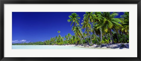 Framed Beach With Palm Trees, Bora Bora, Tahiti Print