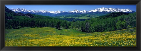 Framed San Miguel Mountains In Spring, Colorado, USA Print