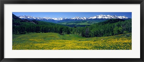 Framed San Miguel Mountains In Spring, Colorado, USA Print