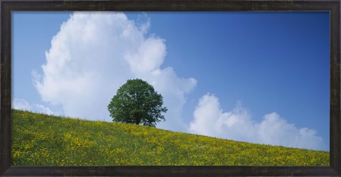 Framed Green Hill w/ flowers &amp; tree Canton Zug Switzerland Print